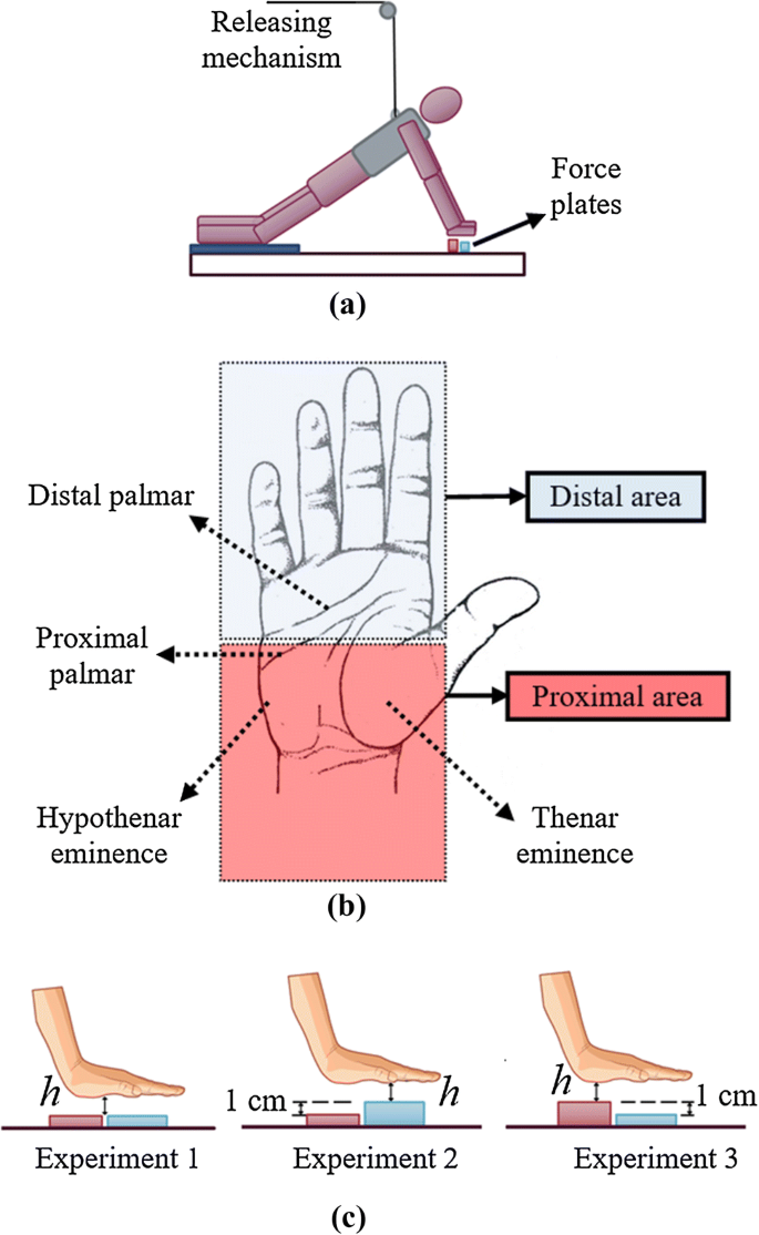 Investigation Into Hand Impact Force During Forward Falls On Uneven Terrain Springerlink Investigation Into Hand Impact Force During Forward Falls On Uneven Terrain Springerlink