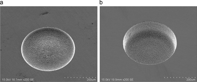 figure 22