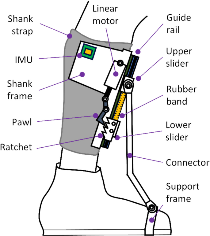 Design and Experimental Validation of Semi-Active Ankle Assistive ...