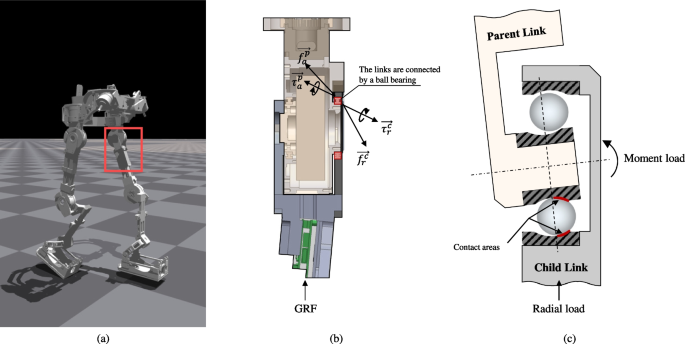 Modeling of Ball Bearings for Accurate Force and Torque Transmission in ...
