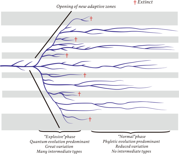 Current understanding on the Cambrian Explosion: questions and answers |  SpringerLink