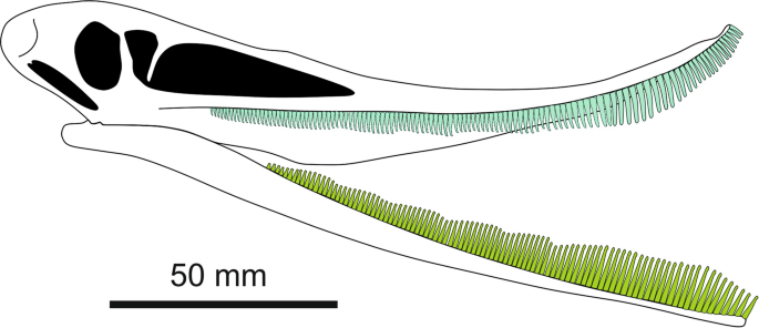 figure 15