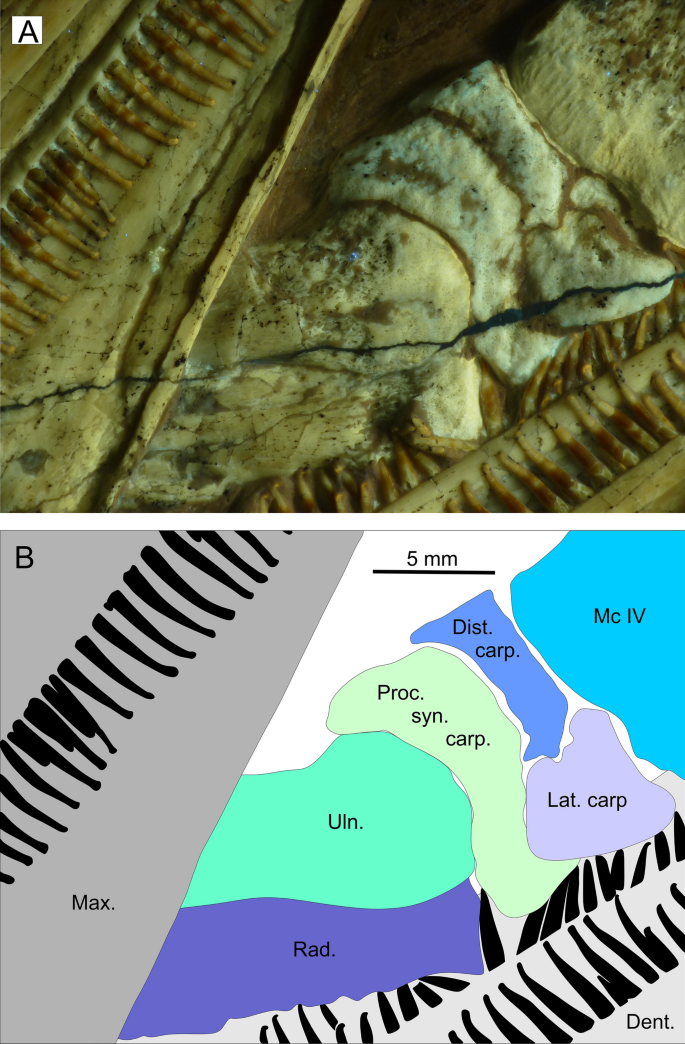 figure 19