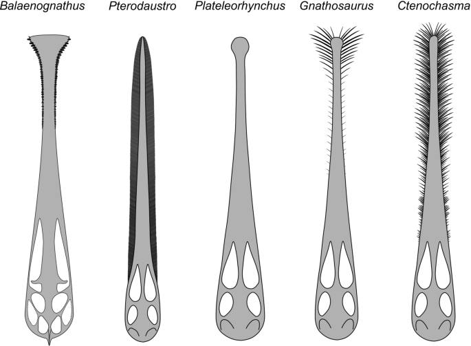 figure 24