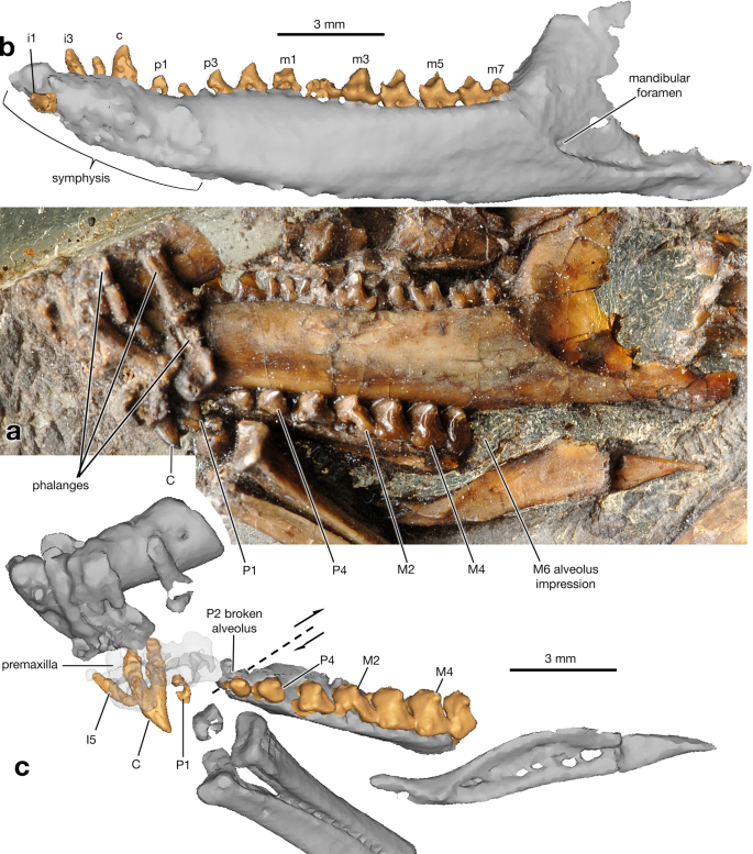 figure 17