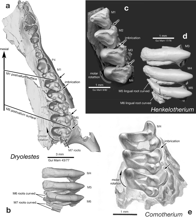 figure 27