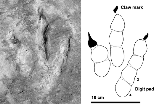 figure 14