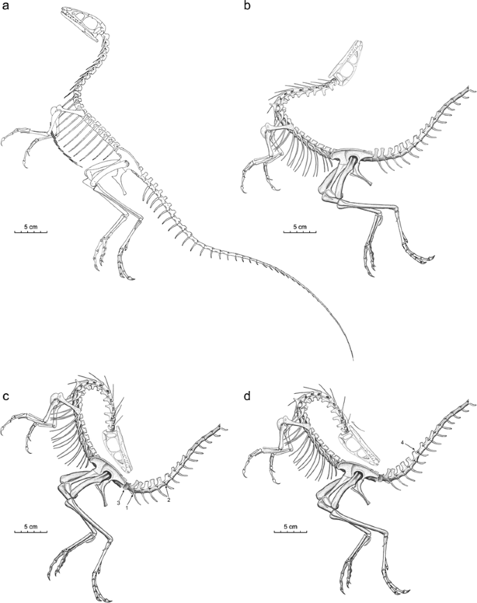 299 Pterodactyloidea Images, Stock Photos, 3D objects, & Vectors