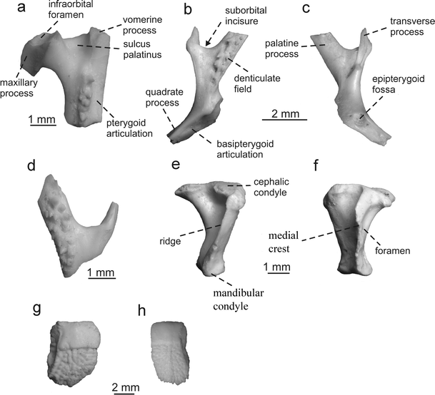 figure 16