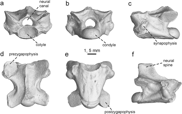 figure 17