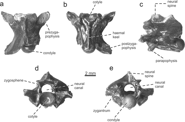 figure 14