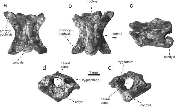 figure 15