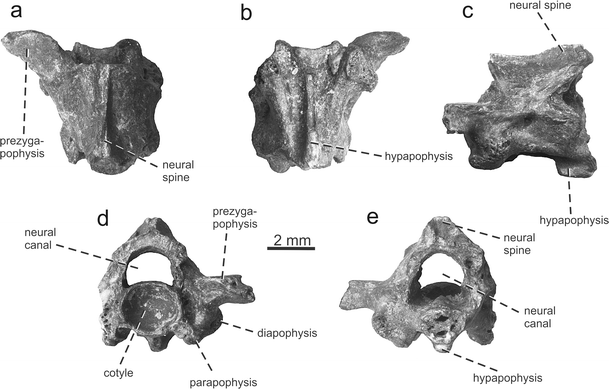 figure 18