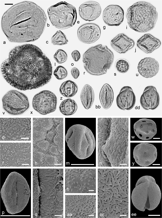 The Middle Miocene Palynofloras Of The Salihpasalar Lignite Mine Yatagan Basin Southwest Anatolia Environmental Characterisation And Comparison With Palynofloras From Adjacent Basins Springerlink