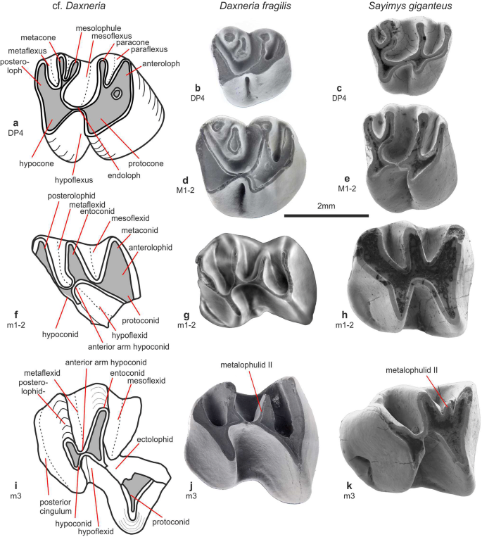 figure 16