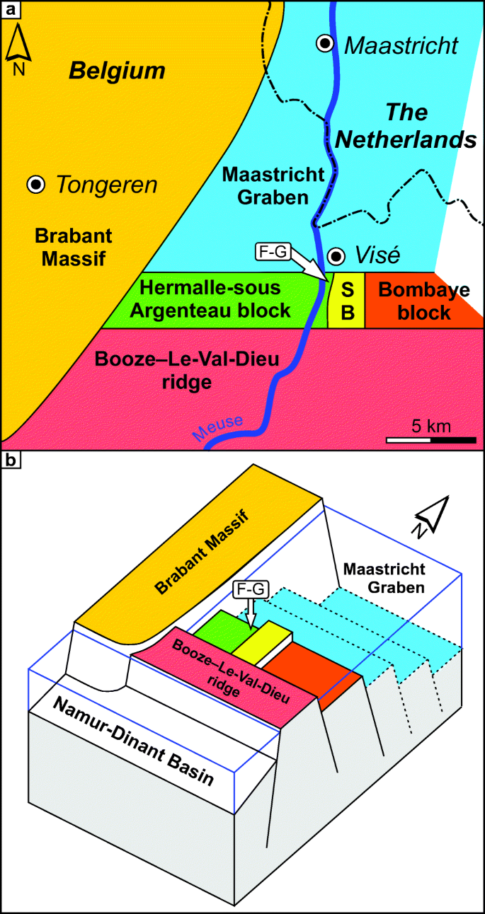 Brachiopods from the historical type area of the Viséan Stage  (Carboniferous, Mississippian; Belgium) and the Visé fauna: preliminary  remarks | SpringerLink