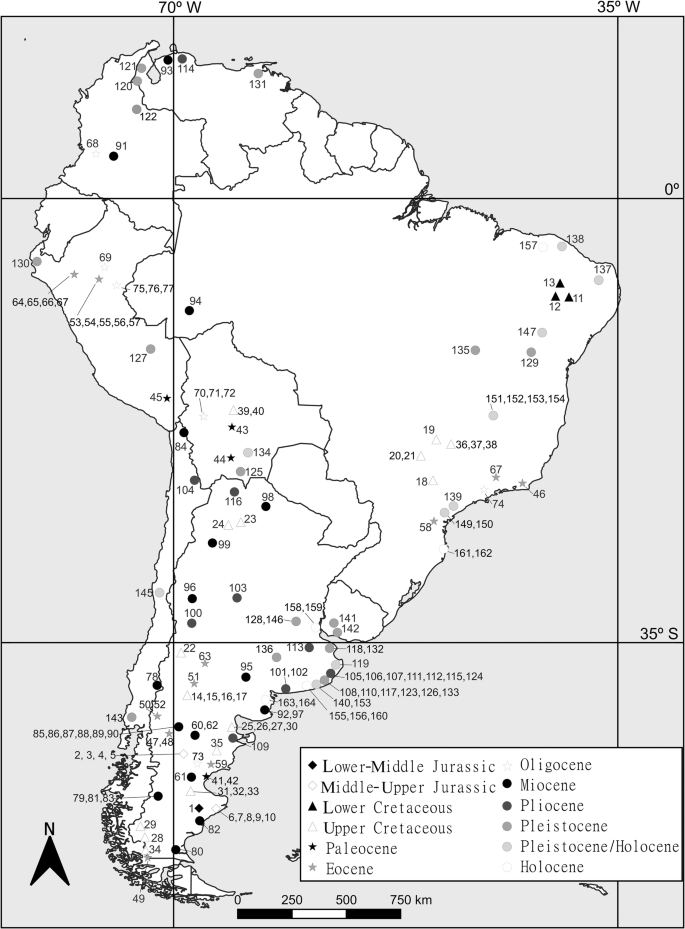 The Lissamphibian Fossil Record of South America | SpringerLink