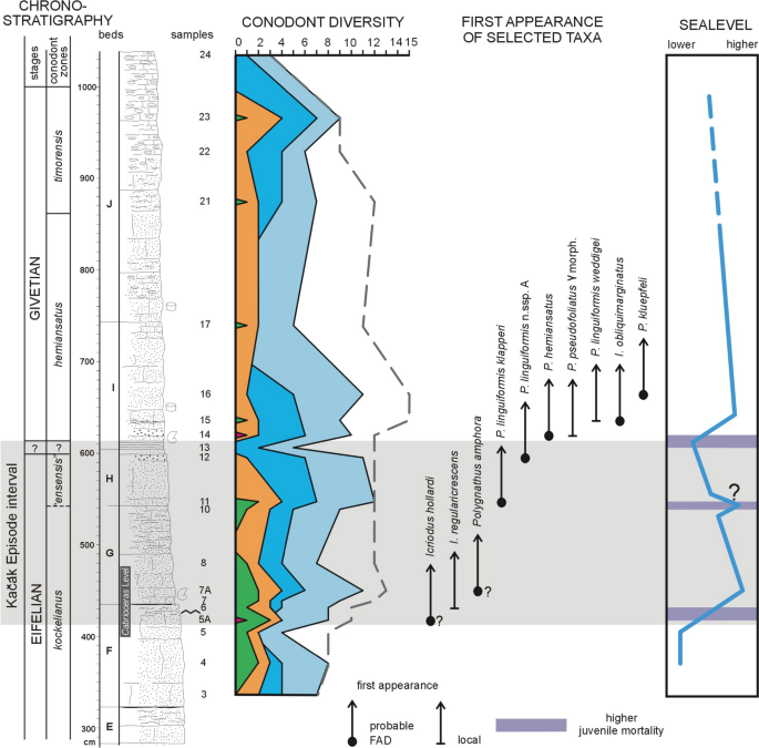 Conodont stratigraphy and biodiversity of the Middle Devonian Kačák ...