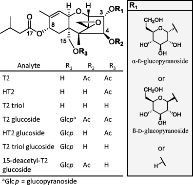 Glucosylation Of T 2 And Ht 2 Toxins Using Biotransformation And Chemical Synthesis Preparation Stereochemistry And Stability Springerlink