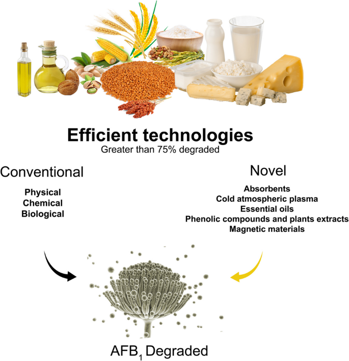 10 mm reduced glutathione recipe Glutathione - an overview main image 1