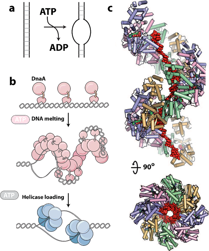 figure 18