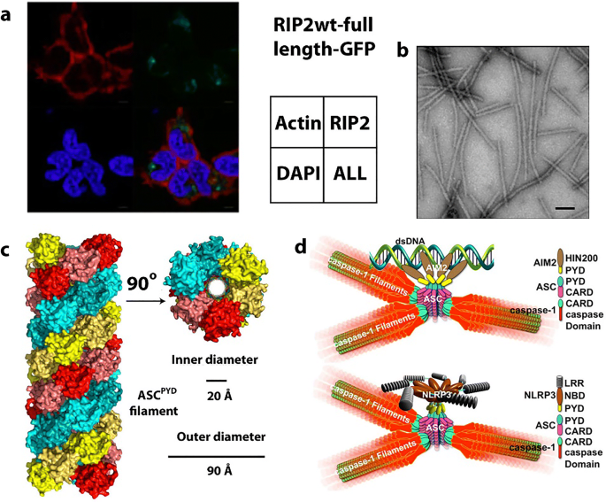 figure 26