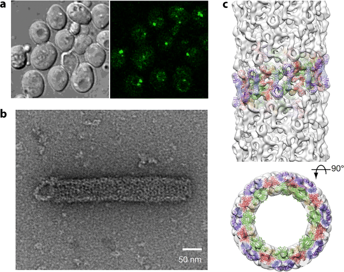 figure 27