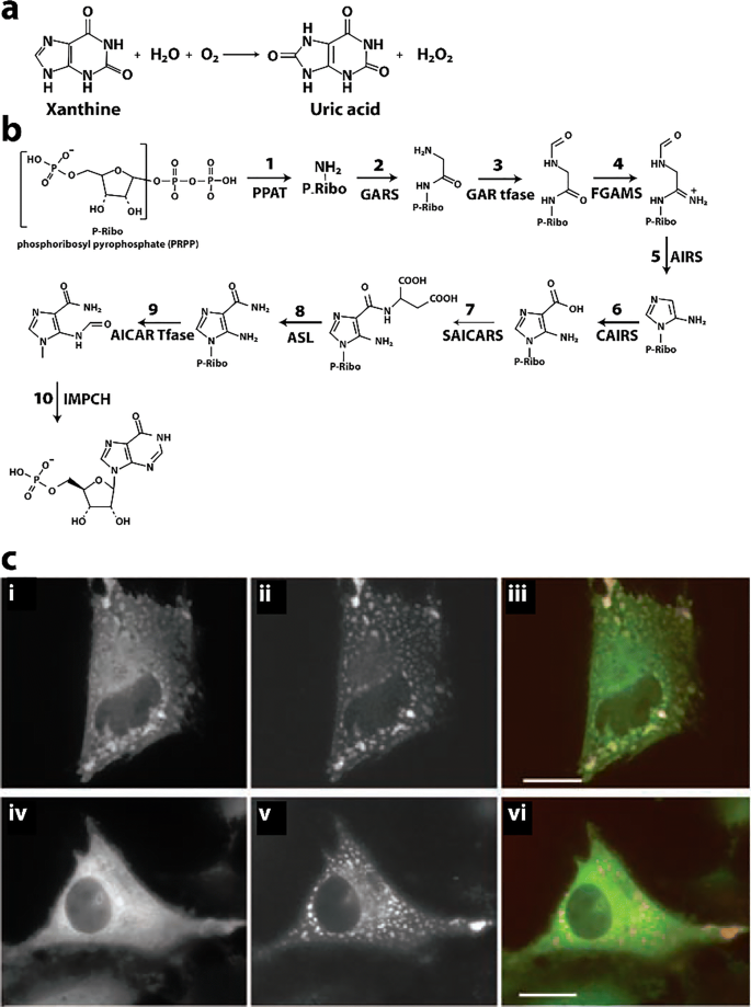 figure 29