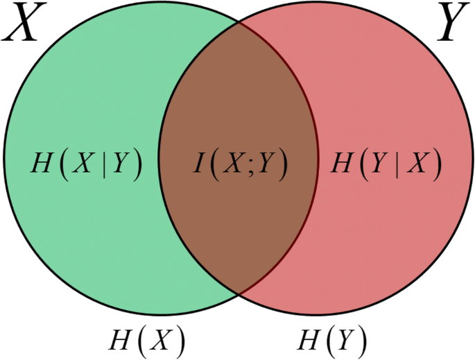 information theory in systems biology