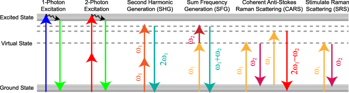 facet Plaske der ovre Applications of second harmonic generation (SHG)/sum-frequency generation  (SFG) imaging for biophysical characterization of the plasma membrane |  SpringerLink