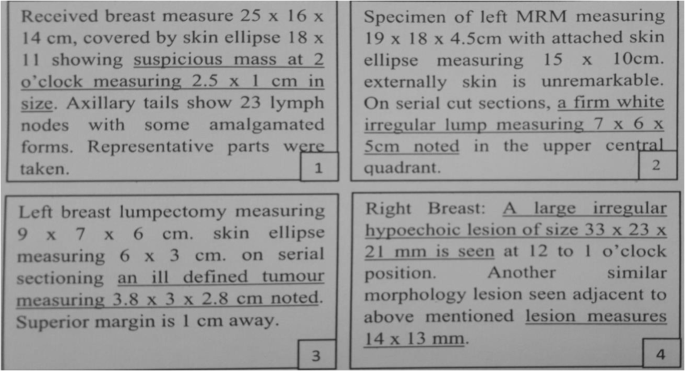 Anatomic Stage Extraction From Medical Reports Of Breast Cancer Patients Using Natural Language Processing Springerlink Anatomic Stage Extraction From Medical Reports Of Breast Cancer Patients Using Natural Language Processing Springerlink
