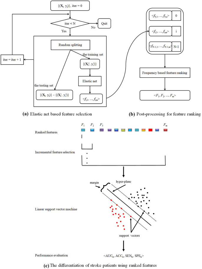 Manual praxis and language-production networks, and their links to  handedness - ScienceDirect