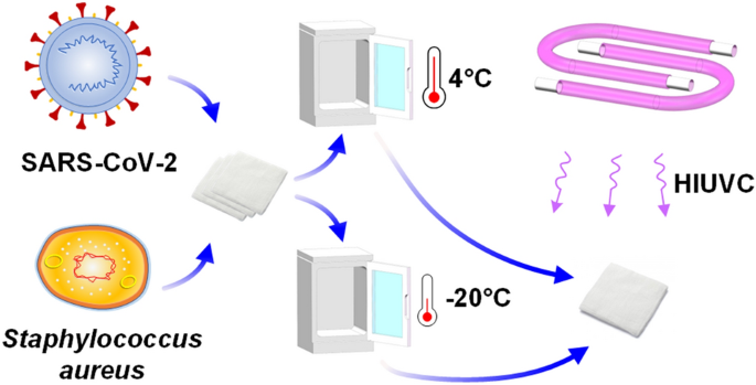 Staphylococcus Aureus is Inactivated by Germicidal UV-C Light