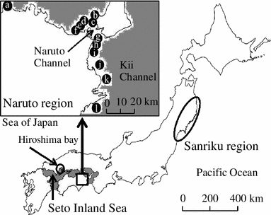 Confirming The Authenticity Of The Geographical Origin Of Naruto Dried Wakame Undaria Pinnatifida Using Stable Nitrogen Isotope Ratios Springerlink