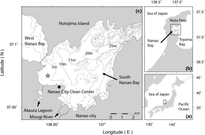 Impact Of Nighttime Hypoxia On Ark Shell Scapharca Broughtonii Mortality On A Semi Enclosed Embayment Seabed Springerlink
