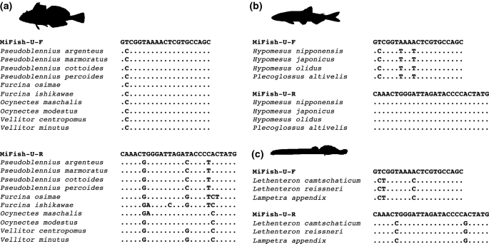 Mifish Metabarcoding A High Throughput Approach For Simultaneous Detection Of Multiple Fish Species From Environmental Dna And Other Samples Springerlink Mifish Metabarcoding A High Throughput Approach For Simultaneous Detection Of Multiple Fish Species From Environmental Dna And Other Samples Springerlink