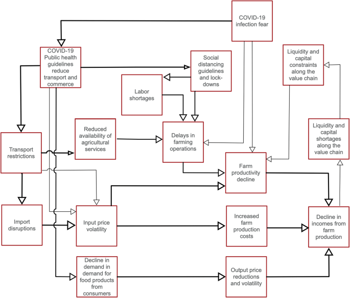 Key indicators for monitoring food system disruptions caused by the  COVID-19 pandemic: Insights from Bangladesh towards effective response |  SpringerLink