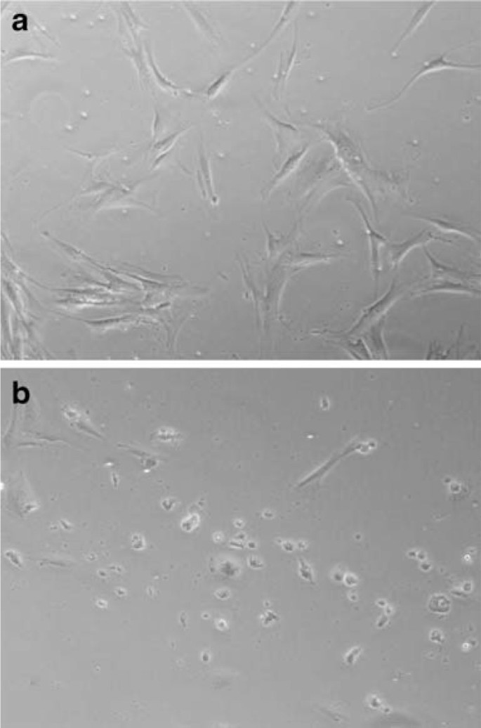 Enzyme-free Cell Dissociation Solution