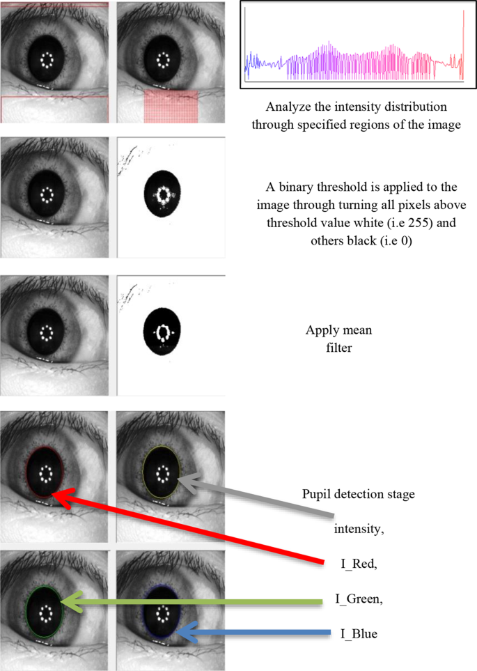 Self-Automatic Threshold Technique For Eye Pupil Detection | Journal of ...