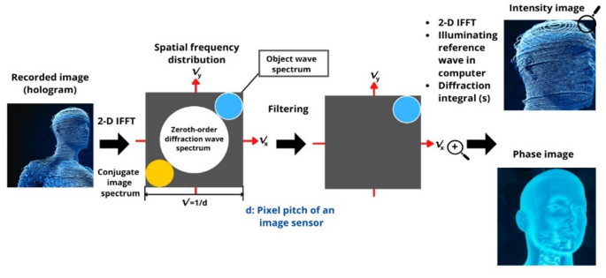 An overview of the use of digital holography in neuroimaging for the ...