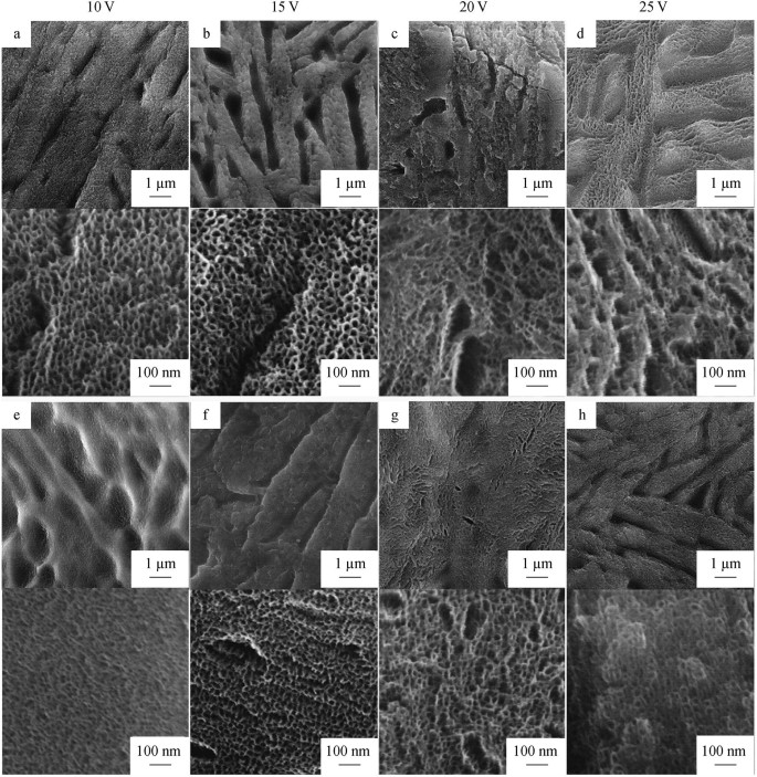 Preparation And Surface Modification Of 3d Printed Ti 6al 4v Porous Implant Springerlink
