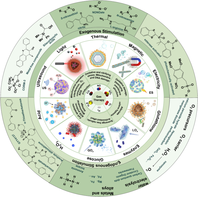 glutathione cysteine contraindications pubmed The Combined Antioxidant Effects of N-Acetylcysteine, Vitamin D3, and  Glutathione from the IntestinalNeuronal In Vitro Model