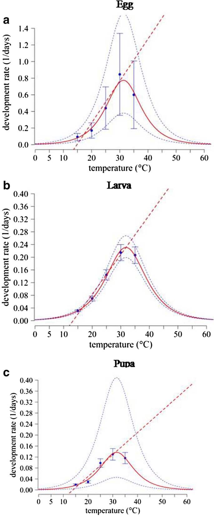 Predicting The Population Growth Potential Of Bactrocera Zonata Saunders Diptera Tephritidae Using Temperature Development Growth Models And Their Validation In Fluctuating Temperature Condition Springerlink