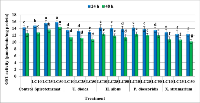 most effective glutathione supplement 2025 Best Glutathione Supplement: What's Your Best Option?