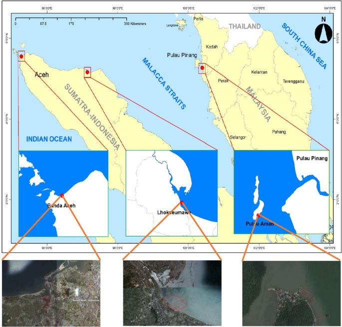 Biometric Relationship of Tegillarca granosa (Bivalvia: Arcidae 