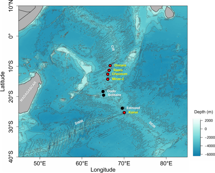 Spatial Variation of Energy Sourcing in Deep-Sea Vent Anemones from the ...