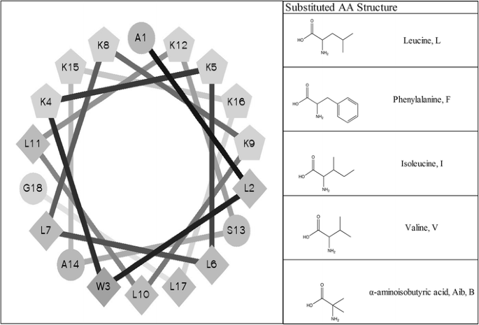 where are hydrophobic amino acids found where are hydrophobic amino acids found