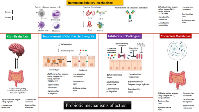 From One-Size-Fits-All to Precision Medicine: The Promise of ...