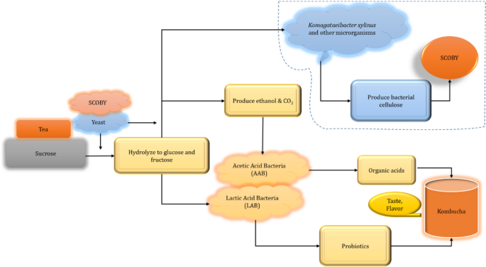 glutathione analysis hplc HPLC analysis of human erythrocytic glutathione forms using OPA and  N-acetyl-cysteine ethyl ester: Evidence for nitrite-induced GSH oxidation  to GSSG