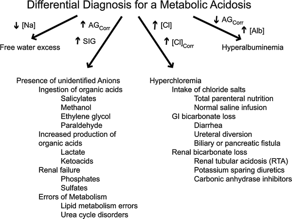 Diagnosing metabolic acidosis in the critically ill: bridging the anion  gap, Stewart, and base excess methods | SpringerLink